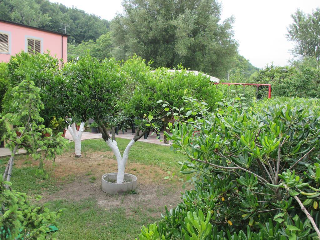 Palinuro Casa Vacanze "Donna Antonia" מראה חיצוני תמונה